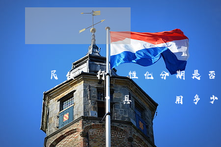 民生銀行個性化分期是否有手續(xù)費？具體費用多少？